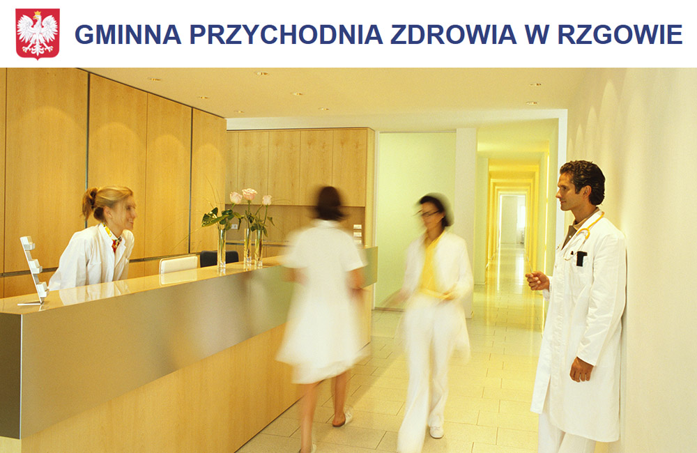 gpz 2026 obsługa informatyczna