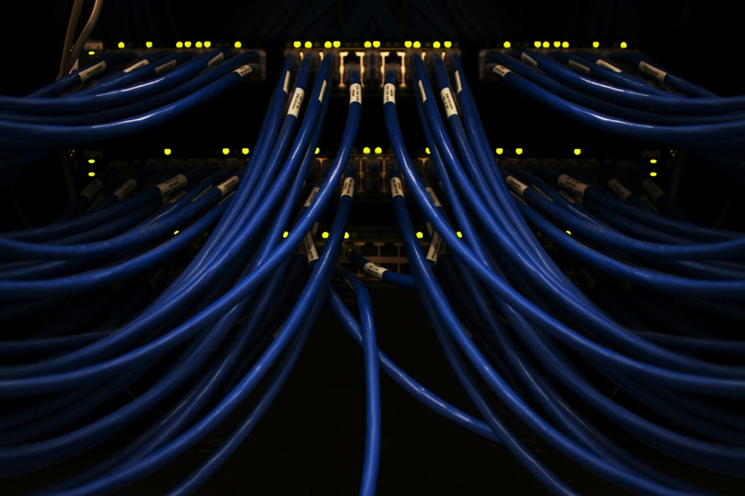 Niebieskie kable sieciowe podłączone do przełącznika