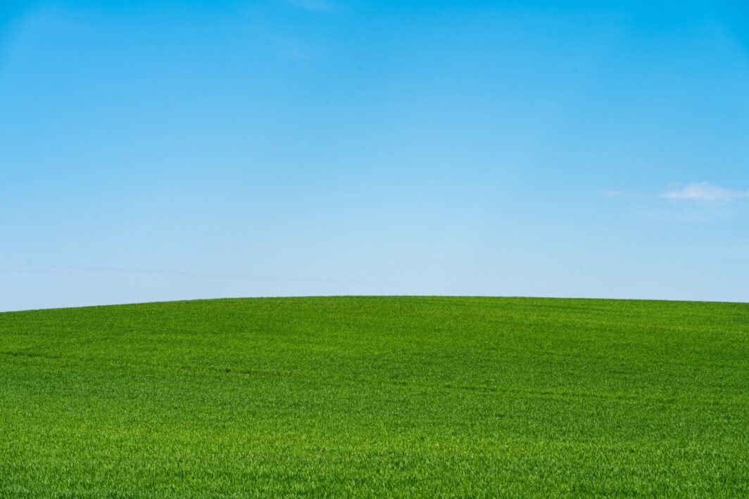 Koniec wsparcia Windows 10 — ile kosztuje zwlekanie i co zrobić teraz 1 Zielone pole pod błękitnym niebem — symbol końca wsparcia Windows 10