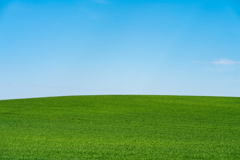 Koniec wsparcia Windows 10 — ile kosztuje zwlekanie i co zrobić teraz