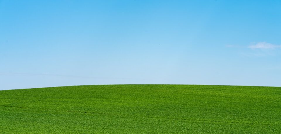Zielone pole pod błękitnym niebem — symbol końca wsparcia Windows 10
